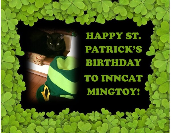 Happy St Patrick's Day birthday Mingtoy! 