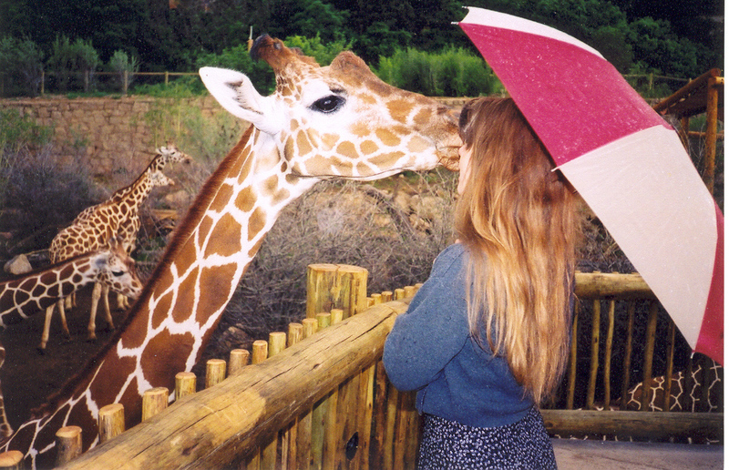 The Cheyenne Mountain offers giraffe kisses and closeup interaction