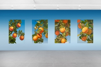 Mustafa Hulusi, A K Dolven, Neha Choksi, Damien Roach, New Viewings #37, Galerie Barbara Thumm