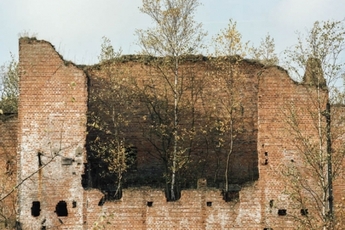 Luc Deleu & T.O.P. office, DARLING NEO-NATURE , KETELEER GALLERY