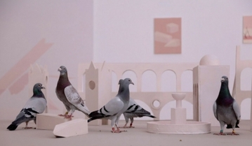 Iv&aacute;n Argote, Pr&eacute;monitions, Perrotin