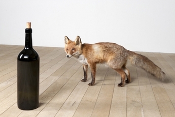 Rita Ackermann, Francis Al&yuml;s, Maja Bajevic, Hernan Bas, Armin Boehm, Marc Bauer, Monica Bonvicini, Balthasar Burkhard, Vlassis Caniaris, Los Carpinteros, Marco Castillo, John Coplans, Andriu Deplazes, Willie Doherty, Olafur Eliasson, Val&eacute;rie Favre, Marc-Antoine Fehr, Fernanda Gomes, Leiko Ikemura, Bruno Jakob, Raffi Kalenderian, Tobias Kaspar, Clay Ketter, Suzanne Lafont, Zilla Leutenegger, Hanna Liden, Jorge Macchi, Teresa Margolles, Fabian Marti, Kenrick McFarlane, Jo&atilde;o Mod&eacute;, Claudia & Julia M&uuml;ller, Adrian Paci, Bernd Ribbeck, Dagoberto Rodriguez, Michal Rovner, Paul Mpagi Sepuya, Shirana Shahbazi, Santiago Sierra, Melanie Smith, Javier T&eacute;llez, Tercerunquinto, Julio Castro Carre&oacute;n, Rolando Flores Tovar, Andro Wekua, Uwe Wittwer, Artur Zmijewski, 30 Years Anniversary Exhibition, Galerie Peter Kilchmann