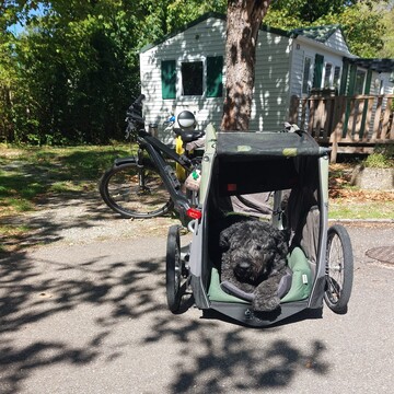 foto: bouvier van Herman in hondenkar op bospad.