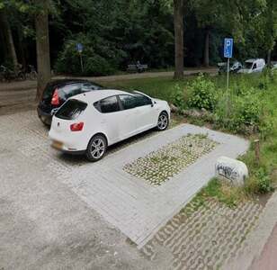 foto van een gehandicaptenparkeerplaats in park