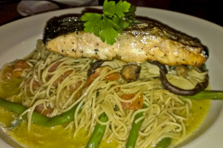 Salmon