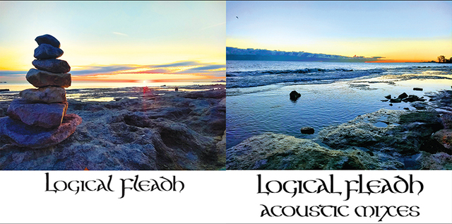 Logical Fleadh and Acoustic Mixes