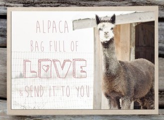 alpaca valentines day card