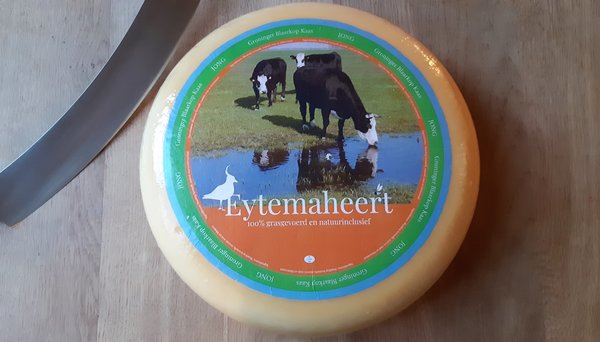 Groninger Blaarkop kaas