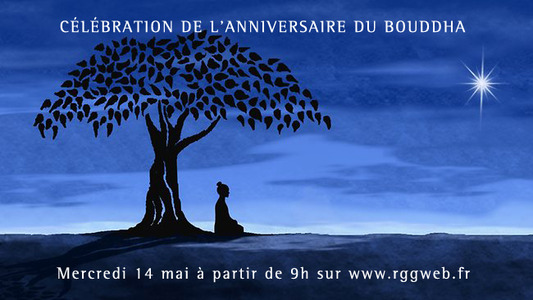 Celebration Anniversaire Du Bouddha Sur Rgg