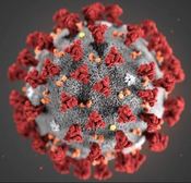Maatregelen vanwege Coronavirus
