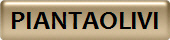 PIANTAOLIVI