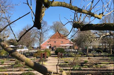 Afbeelding met boom, buiten, gras, lucht
Automatisch gegenereerde beschrijving
