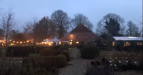 Afbeelding met buiten, boom, lucht, gras
Automatisch gegenereerde beschrijving