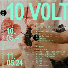 Sujet 10 Volt Festival