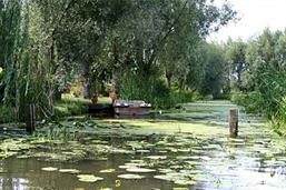 vert-pays
