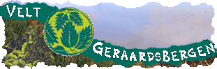 VeltGb-hoofding310x100gekar